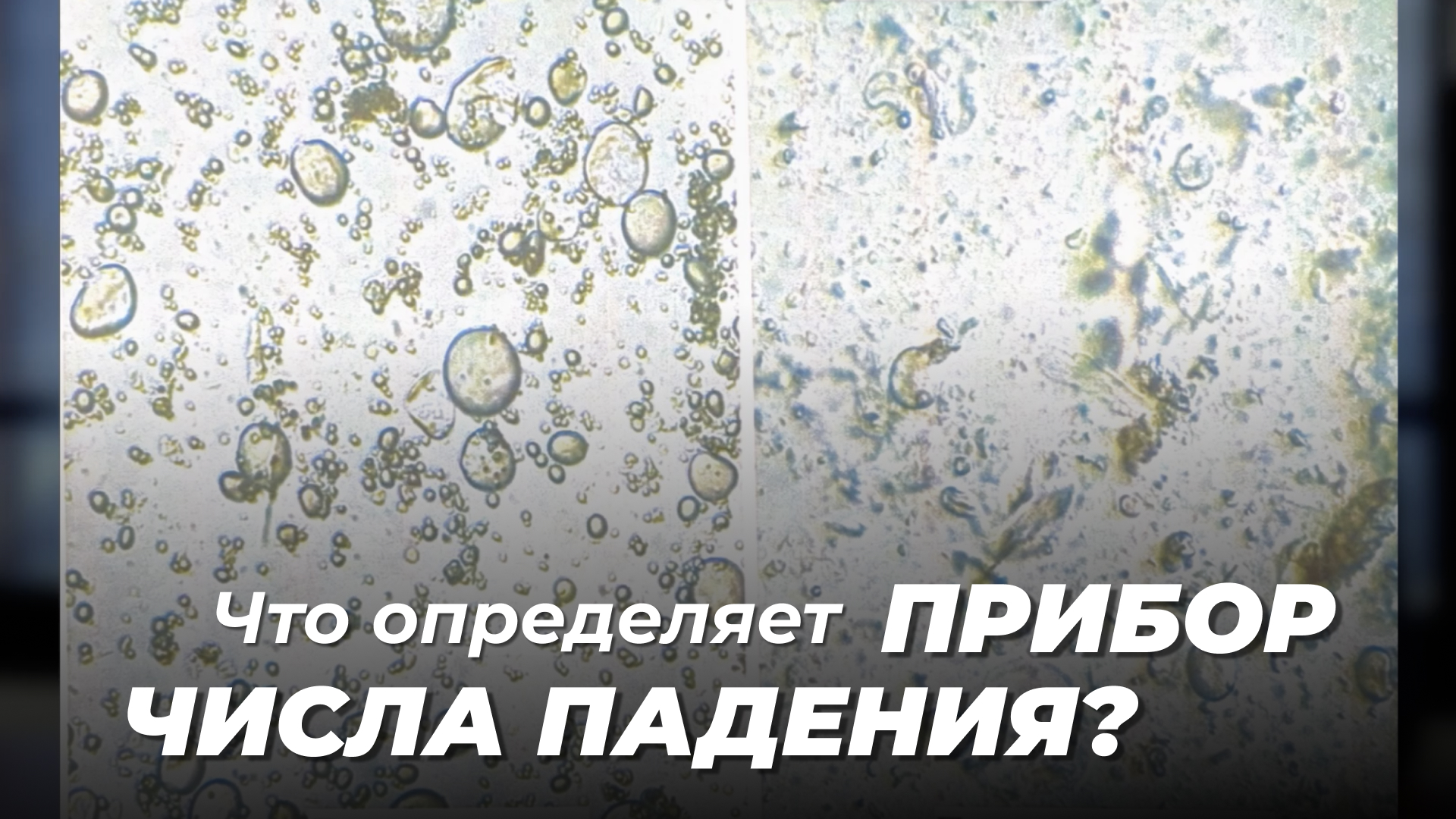 определение числа падения