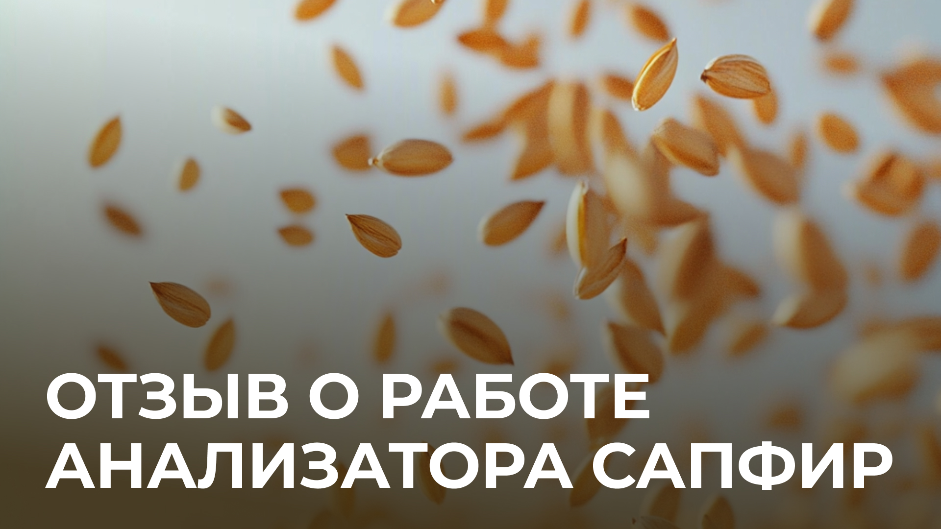 Определение сорной и зерновой примесей