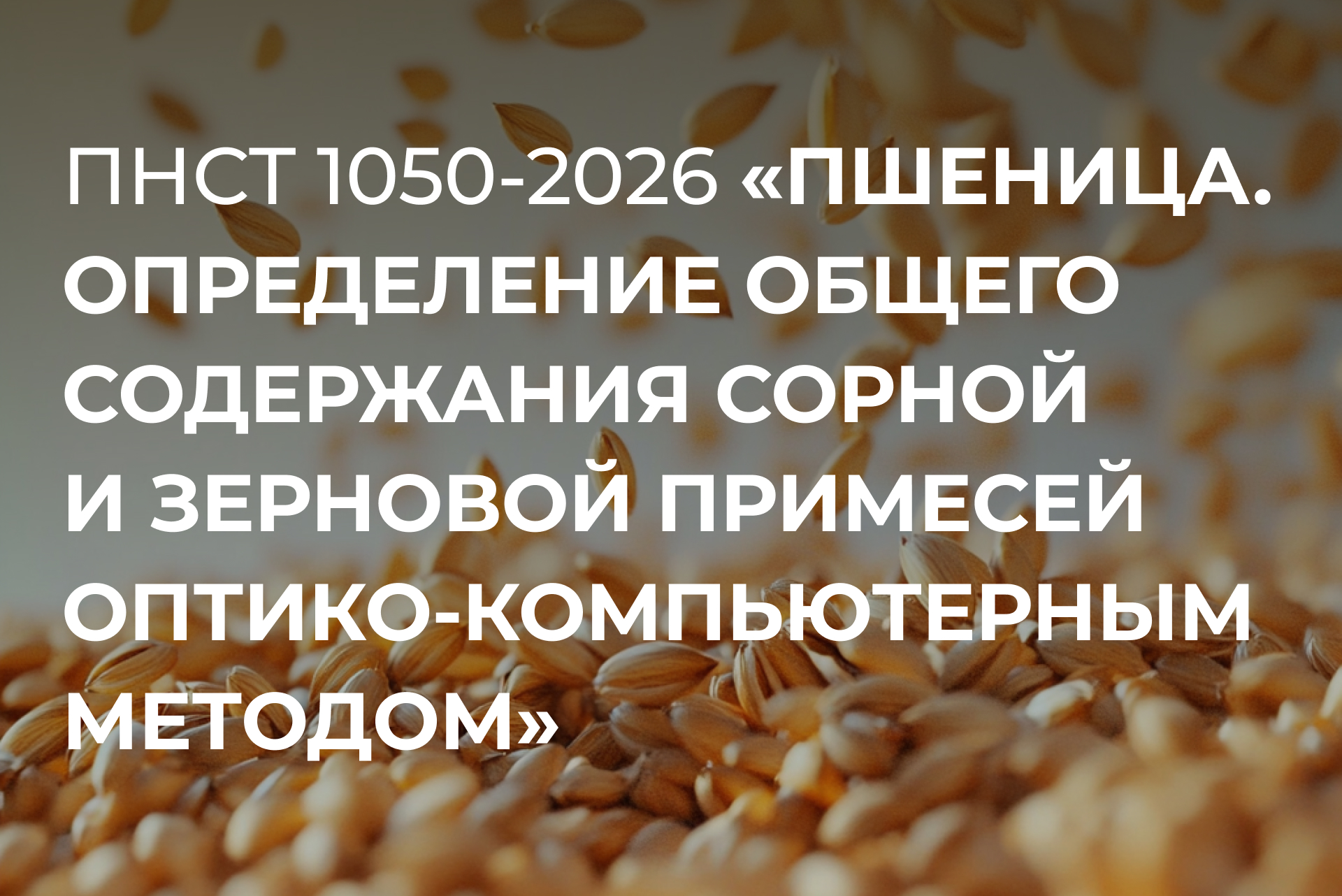 сорная и зерновая примесь стандарт